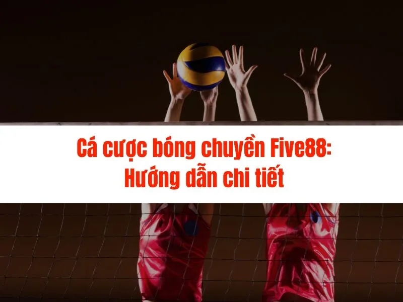 Cá cược bóng chuyền Five88: Hướng dẫn chi tiết