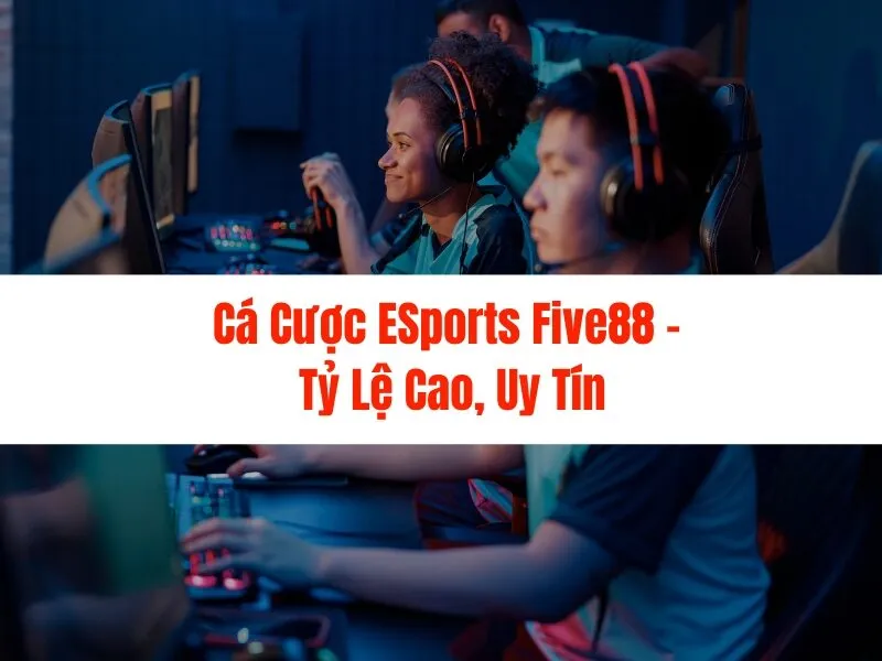 Cá Cược ESports Five88 - Tỷ Lệ Cao, Uy Tín