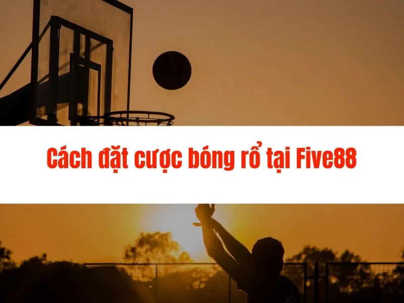 Cá cược bóng rổ Five88 - Hướng dẫn chi tiết A-Z