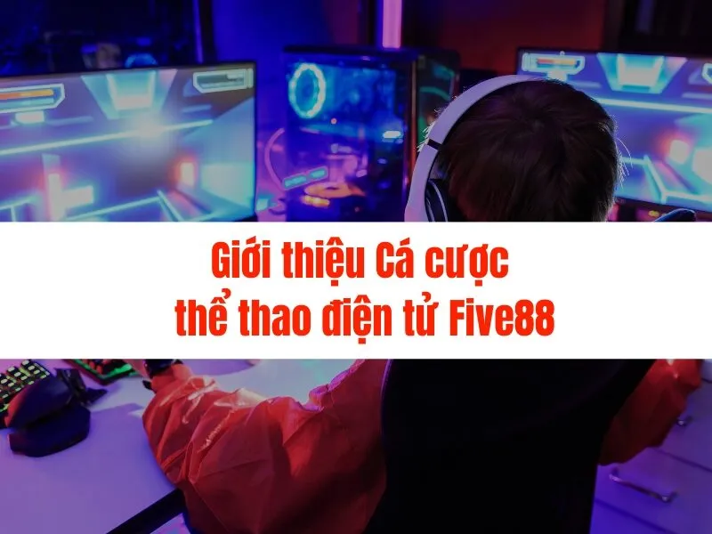 Cá Cược ESports Five88 - Tỷ Lệ Cao, Uy Tín