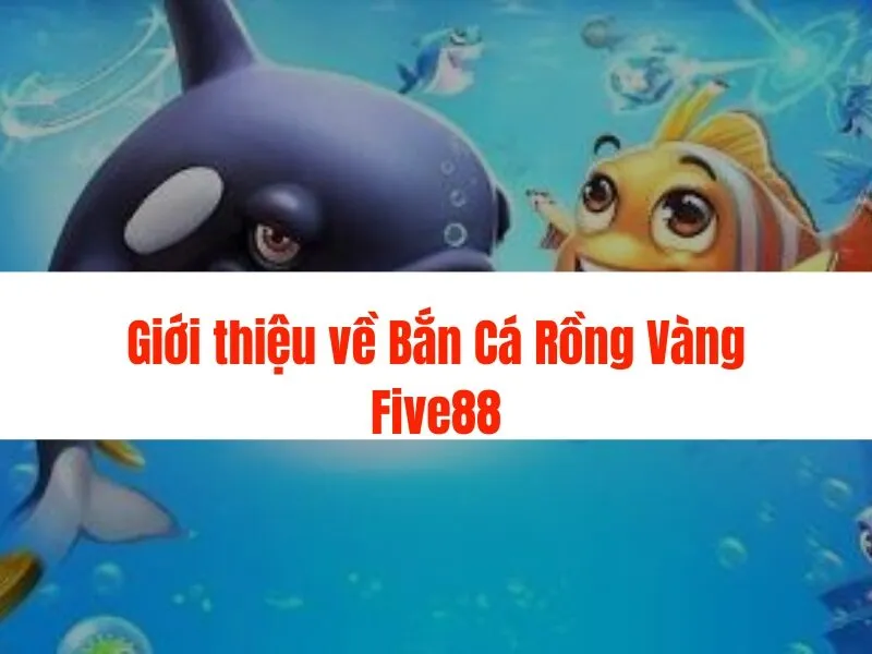 Bắn cá hoàng gia Five88: Trải nghiệm đẳng cấp